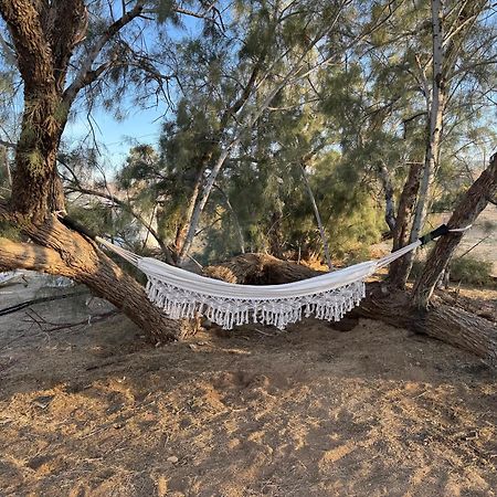 Casa Agave: Comfy Joshua Tree Cottage With Free Breakfast Bar Dış mekan fotoğraf