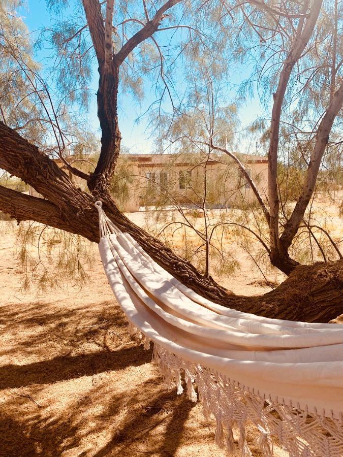 Casa Agave: Comfy Joshua Tree Cottage With Free Breakfast Bar Dış mekan fotoğraf