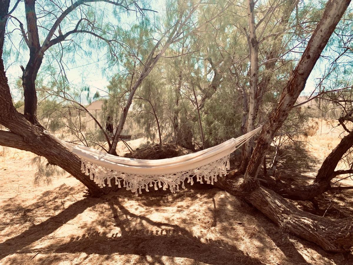 Casa Agave: Comfy Joshua Tree Cottage With Free Breakfast Bar Dış mekan fotoğraf