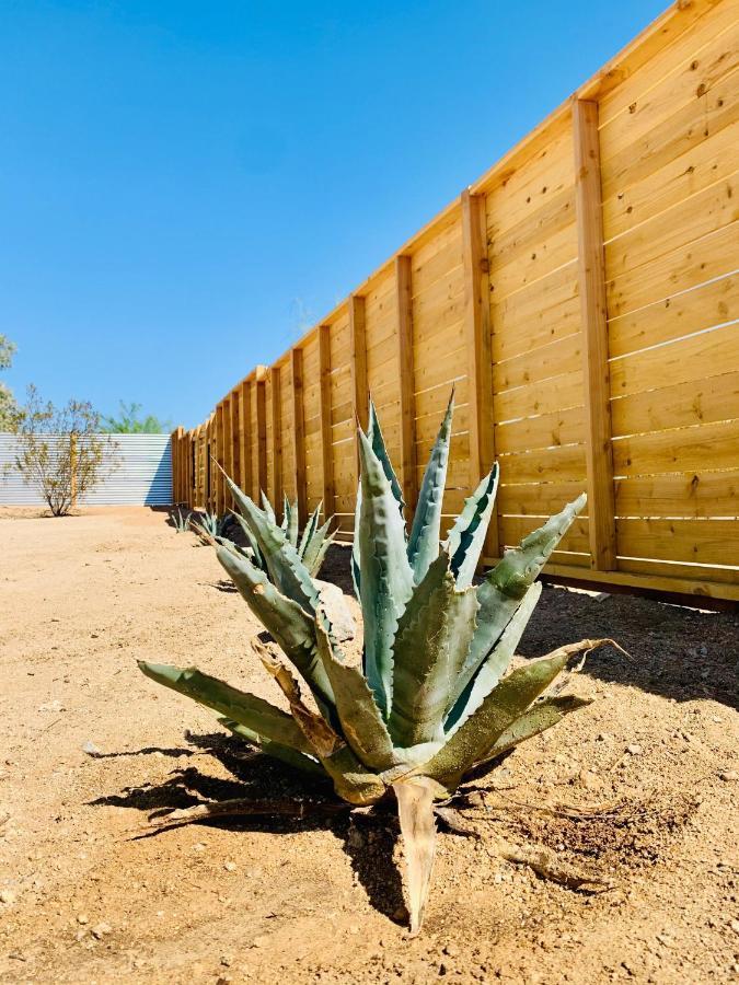 Casa Agave: Comfy Joshua Tree Cottage With Free Breakfast Bar Dış mekan fotoğraf