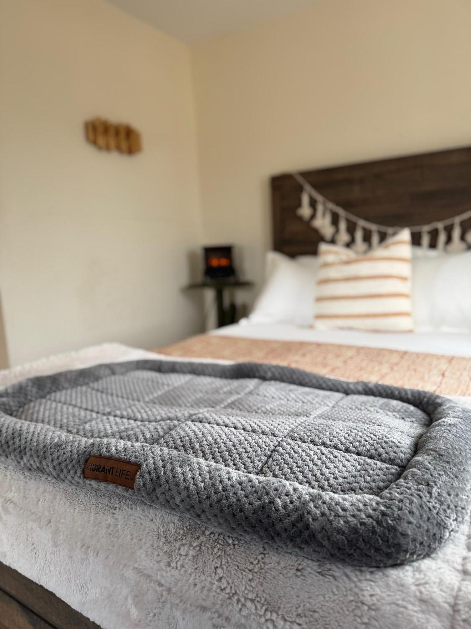 Casa Agave: Comfy Joshua Tree Cottage With Free Breakfast Bar Dış mekan fotoğraf