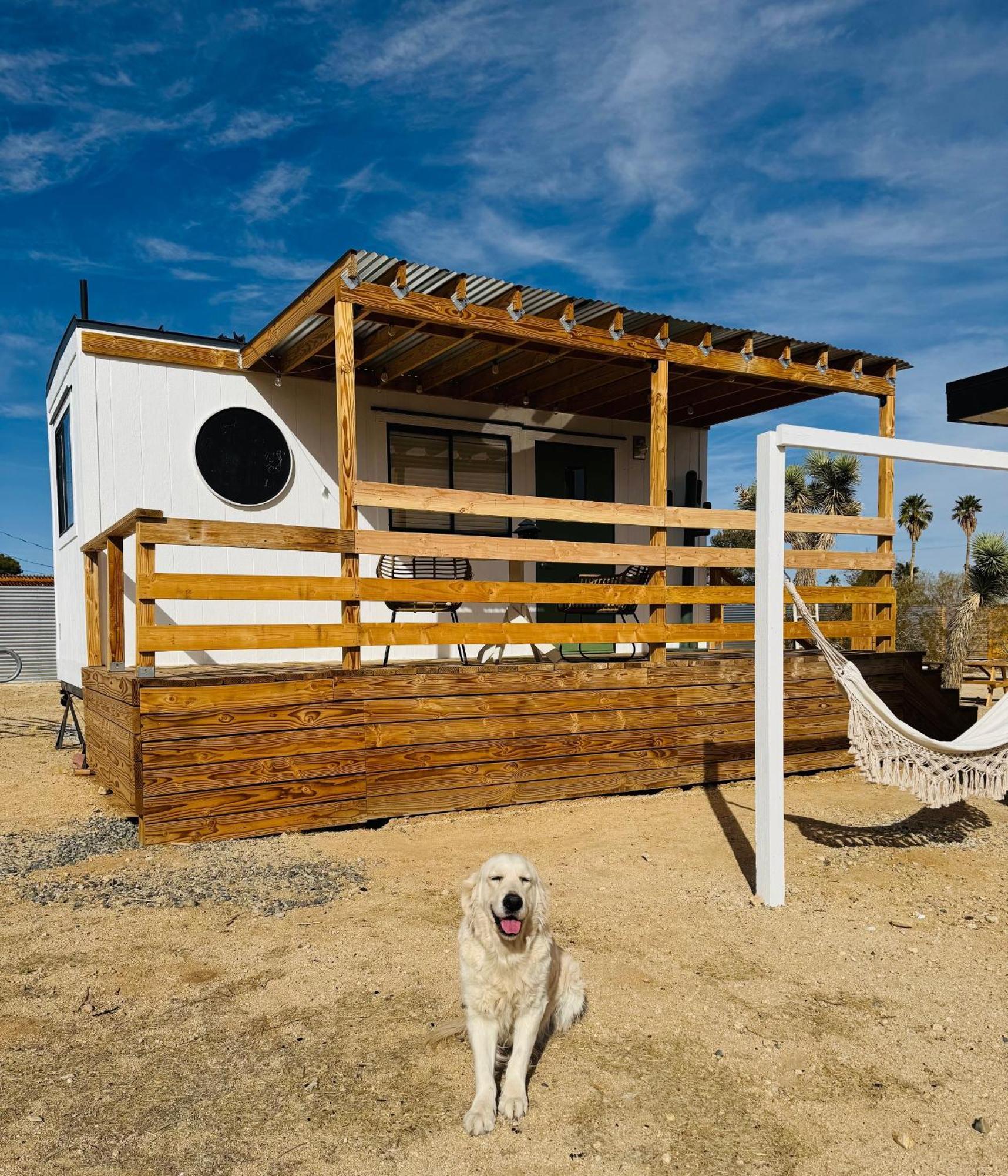 Casa Agave: Comfy Joshua Tree Cottage With Free Breakfast Bar Dış mekan fotoğraf