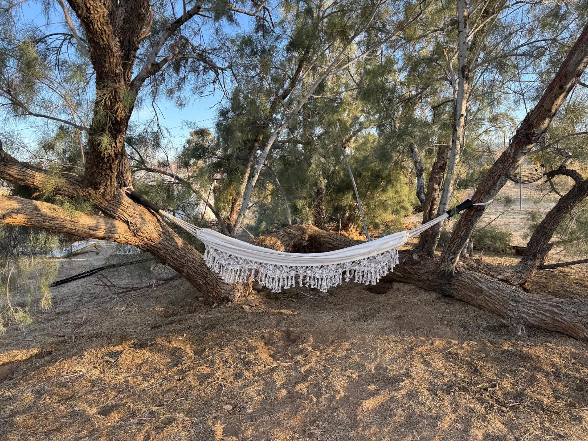 Casa Agave: Comfy Joshua Tree Cottage With Free Breakfast Bar Dış mekan fotoğraf